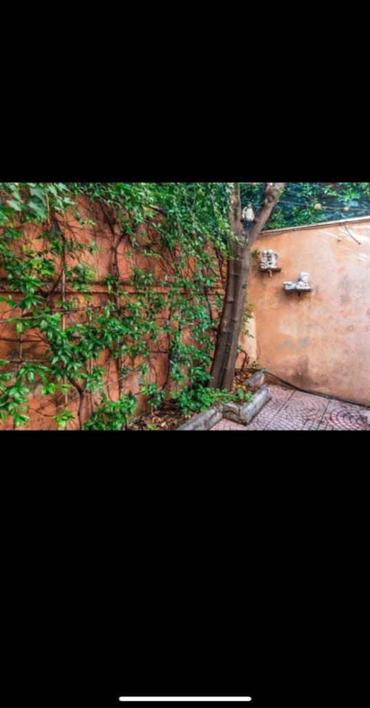 Olimpico'S Apartment Roma Dış mekan fotoğraf